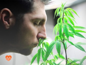 Детоксикация от марихуаны в Можге